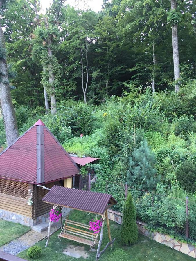 Villa U Lyudmily à Karpaty Extérieur photo