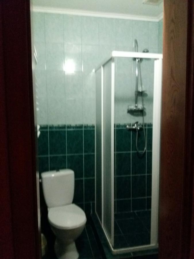 Villa U Lyudmily à Karpaty Extérieur photo
