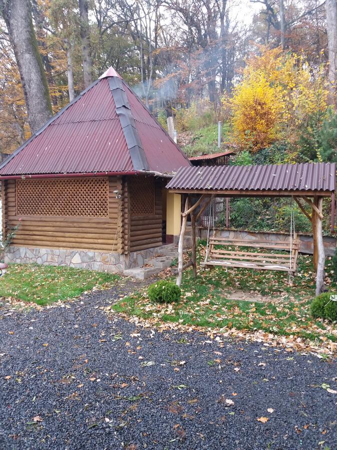 Villa U Lyudmily à Karpaty Extérieur photo