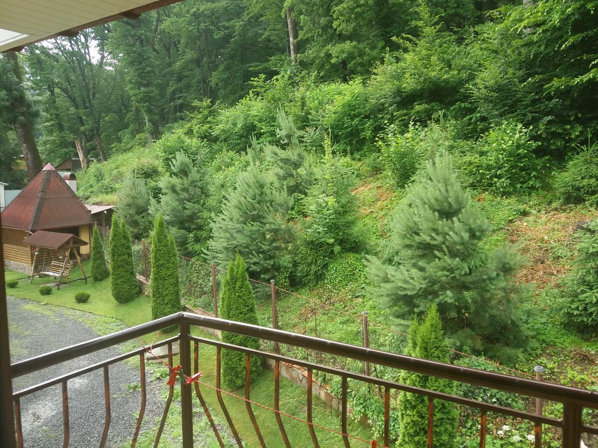 Villa U Lyudmily à Karpaty Extérieur photo