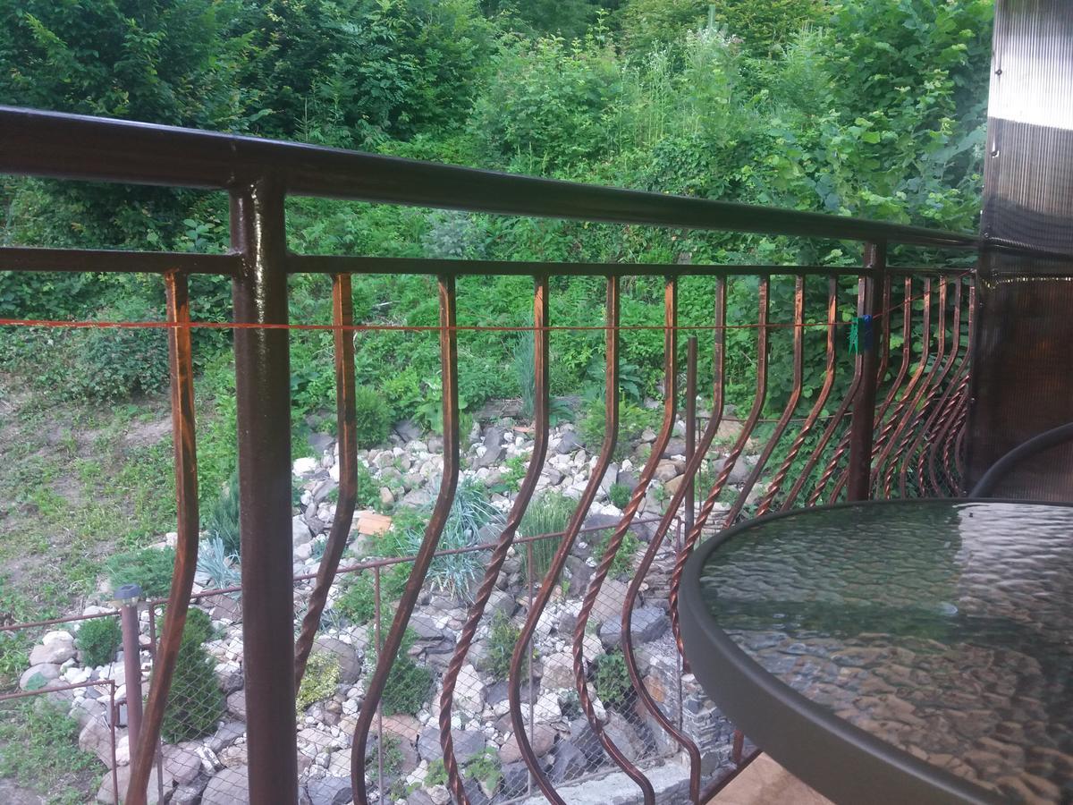 Villa U Lyudmily à Karpaty Extérieur photo